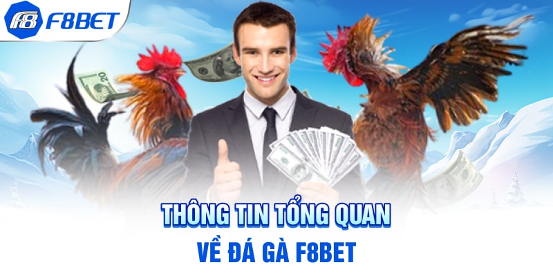 Thông tin tổng quan về đá gà F8BET